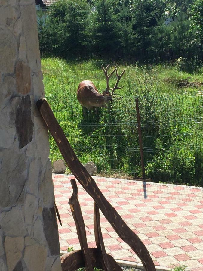 Hotel Casa Dar&And Vatra Dornei Zewnętrze zdjęcie